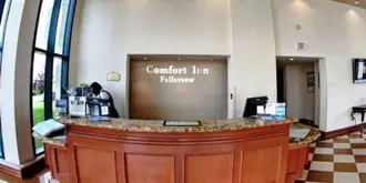 Comfort Inn Fallsview