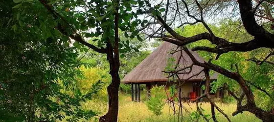 Motswari Private Game Reserve Timbavati | Mpumalanga - Mbombela - Kruger National Park