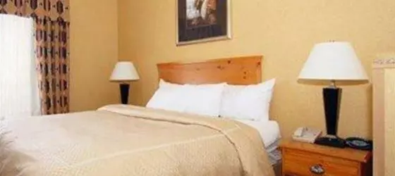 Comfort Inn & Suites Airport and Expo | Kentucky - Louisville (ve civarı) - Louisville