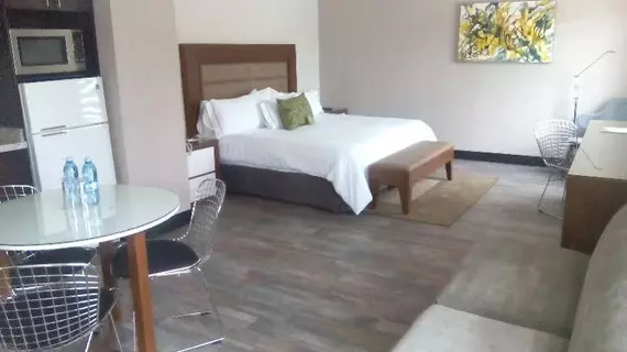 Áurea Hotel and Suites | Jalisco - Guadalajara (ve civarı) - Zapopan