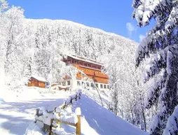 Les Campanules | Auvergne-Rhone-Alpes - Haute-Savoie (bölge) - Les Houches