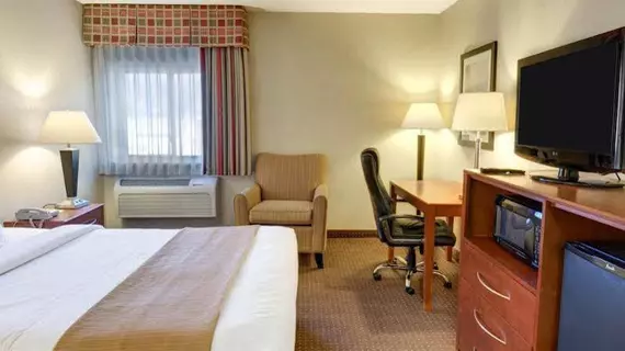 Quality Inn Near Ft Meade | Maryland - Baltimore (ve civarı) - Jessup - Savage-Guilford