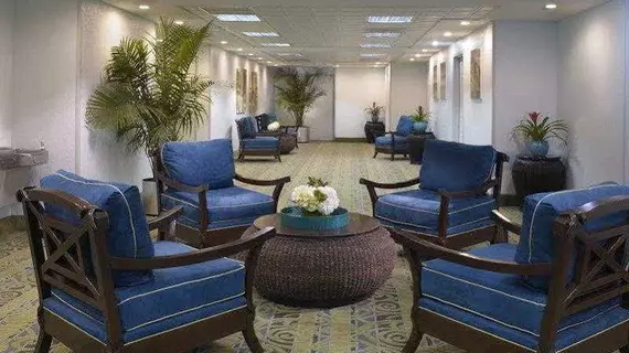 Best Western Plus Atlantic Beach Resort | Florida - Miami Beach - Mid Plajı