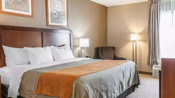 Comfort Inn Madison | Indiana - Madison (ve civarı) - Madison