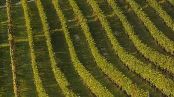 Enolocanda Del Tufo | Piedmont - Cuneo (il) - Dogliani