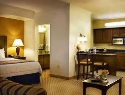 Residence Inn DFW Airport North/Grapevine | Teksas - Dallas (ve civarı) - Grapevine