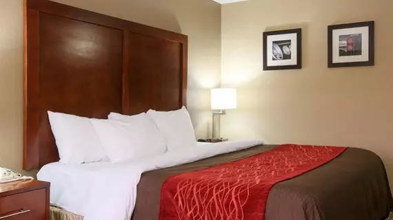 Comfort Inn & Suites Leeds | Alabama - Birmingham (ve civarı) - Leeds