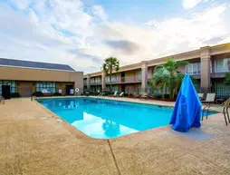 Clarion Inn & Suites Dothan | Alabama - Dothan (ve civarı) - Dothan