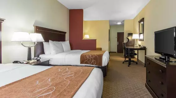 Comfort Suites Cullman | Alabama - Cullman (ve civarı) - Cullman