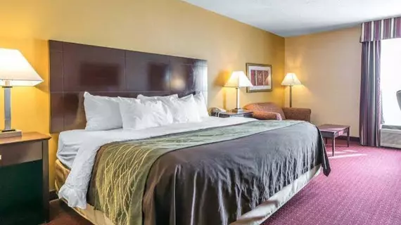 Comfort Inn Dry Ridge | Kentucky - Williamstown (ve civarı) - Dry Ridge