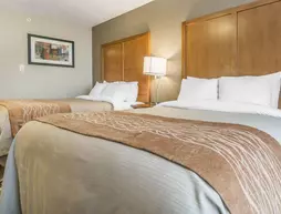 Comfort Inn & Suites Edmonton International Airport | Alberta - Edmonton (ve civarı) - Nisku