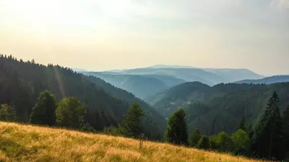 Krähenbad Hotel | Baden-Wuerttemberg - Alpirsbach