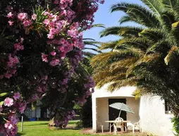 Le Domaine Du Mas Blanc | Occitanie - Pyrenees-Orientales (Doğu Pireneler) - Alenya