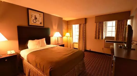 Econo Lodge Birmingham | Alabama - Birmingham (ve civarı) - Vestevia Hills