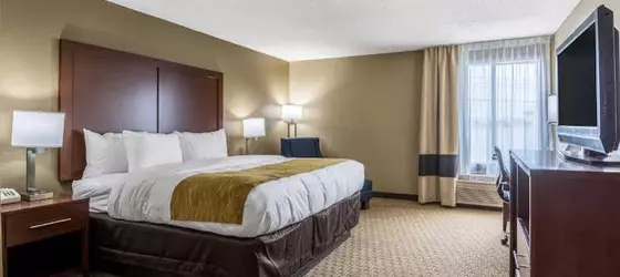 Comfort Inn | Güney Karolayna - Myrtle Plajı (ve civarı) - North Myrtle Beach