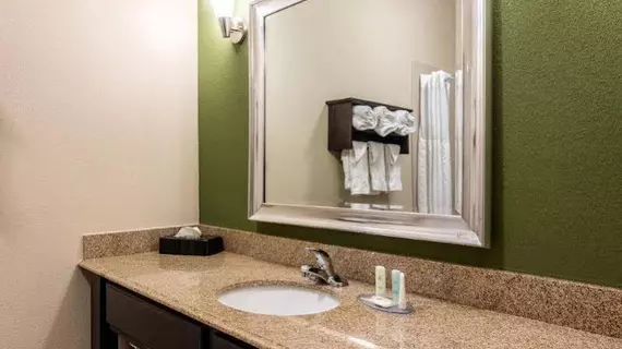 Comfort Inn & Suites Mansfield | Louisiana - Mansfield