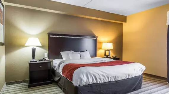 Comfort Suites Smyrna | Tennessee - Nashville-Davidson - Nashville (ve civarı) - Smyrna