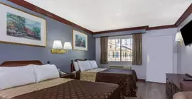 Knights Inn San Bernardino | Kaliforniya - San Bernardino County - San Bernardino (ve civarı) - San Bernardino