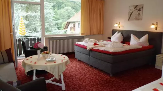 Parkhotel Weber-Müller | Aşağı Saksonya - Bad Lauterberg