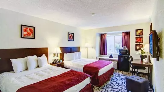 Jacksonville Plaza Hotel and Suites | Florida - Jacksonville (ve civarı) - Jacksonville