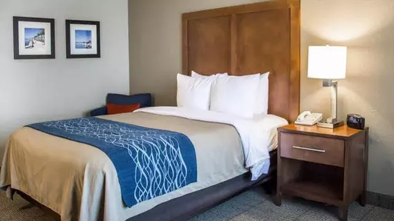 Comfort Inn & Suites Sanford | Florida - Sanford