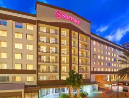 Sheraton Tampa Riverwalk | Florida - Tampa (ve civarı) - Tampa - Downtown Tampa