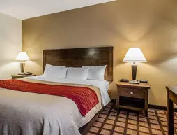 Comfort Inn Perryville | Missouri - Perryville (ve civarı) - Perryville