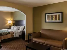 Comfort Inn Crawfordsville | Indiana - Lafayette (ve civarı) - Crawfordsville