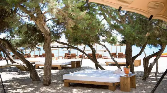 Insotel Hotel Formentera Playa | Balearic Adaları - Formentera