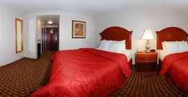 Comfort Inn & Suites Near Medical Center | Teksas - San Antonio (ve civarı) - San Antonio