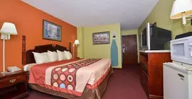 Super 8 Motel Brunswick/St Simons Island Area | Georgia - Brunswick (ve civarı) - Brunswick