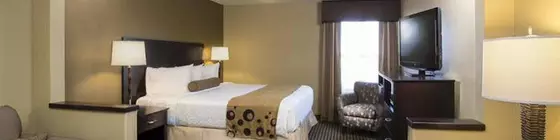 Best Western Plus Mishawaka Inn | Indiana - South Bend (ve civarı) - Mishawaka