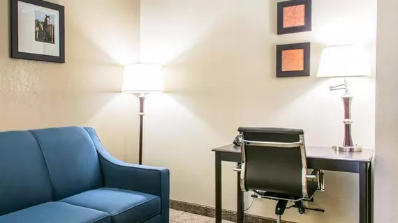 Comfort Inn & Suites Airport and Expo | Kentucky - Louisville (ve civarı) - Louisville