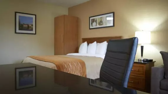 Comfort Inn Simcoe | Ontario - Niagara Regional Belediyesi - Hamilton (ve civarı) - Simcoe