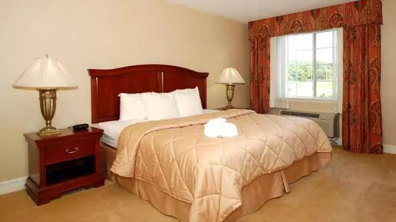 Comfort Inn & Suites East Greenbush | New York - Albany (ve civarı) - Castleton-on-Hudson