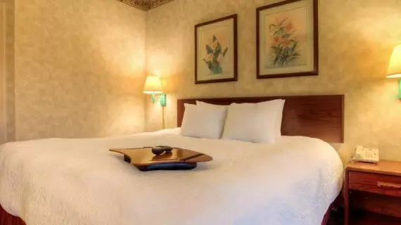 Hampton Inn Chattanooga I24 West Lookout Mountain | Tennessee - Chattanooga (ve civarı) - Chattanooga - Tiftonia