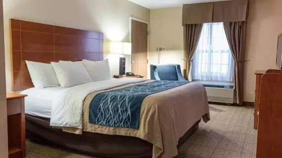 Comfort Inn Civic Center Augusta | Maine - Augusta (ve civarı) - Augusta