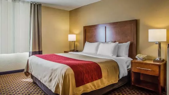 Comfort Inn Joliet | İllinois - Joliet