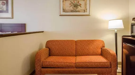 Comfort Suites Jeffersonville | Indiana - Jeffersonville - Clarksville (ve civarı) - Jeffersonville