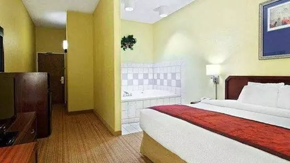 Courtyard by Marriott San Antonio Airport/North Star Mall | Teksas - San Antonio (ve civarı) - San Antonio - Kuzey San Antonio - SAT Havalimanı