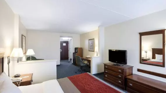 Comfort Inn & Suites San Antonio Airport | Teksas - San Antonio (ve civarı) - San Antonio - Kuzey San Antonio - SAT Havalimanı