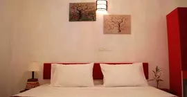 Visitens Lodge | Maldivler - Kaafu Atoll - Hulhumalé Adası