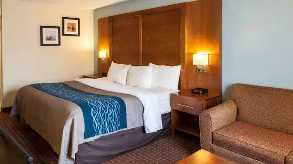 Quality Inn Catonsville | Maryland - Baltimore (ve civarı) - Catonsville