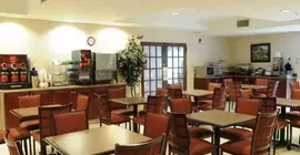 Comfort Suites Salisbury | Kuzey Karolayna - Lexington - Salisbury (ve civarı) - Salisbury