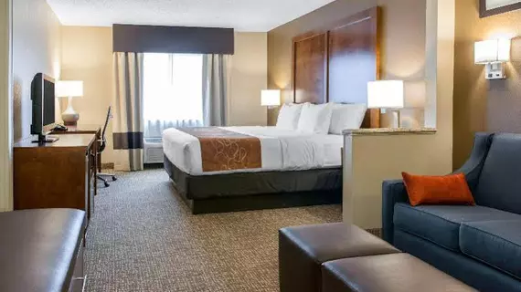 Comfort Suites Terre Haute | Indiana - Terre Haute (ve civarı) - Terre Haute