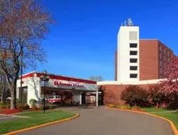 Ramada Plaza Minneapolis | Minnesota - Minneapolis - St. Paul (ve civarı) - Minneapolis