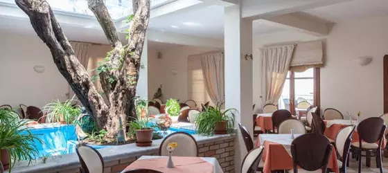 Aeolos Hotel | Tesalya - Skopelos