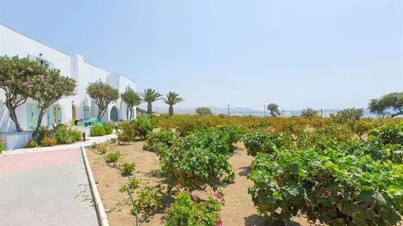 Lianos Village | Ege Adaları - Naxos