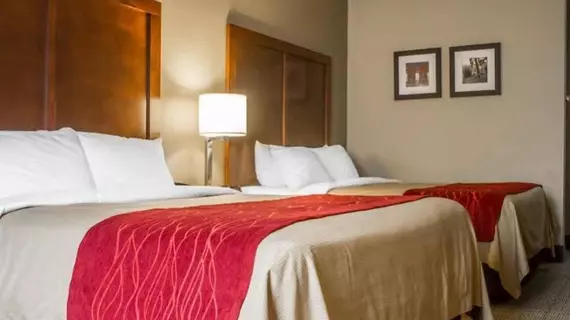 Comfort Inn Amite | Louisiana - Hammond (ve civarı) - Amite