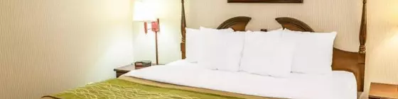 Comfort Inn Lebanon | Indiana - Indianapolis (ve civarı) - Lebanon